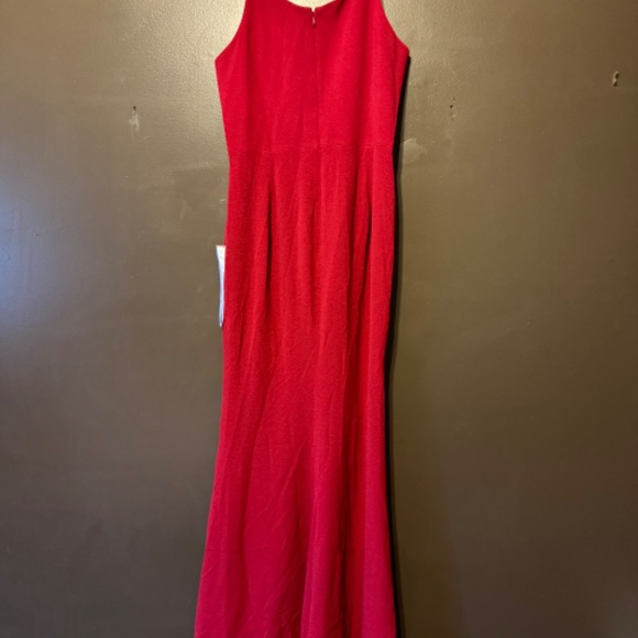 Dress the Population Maxi Gown - Picture 3 of 4